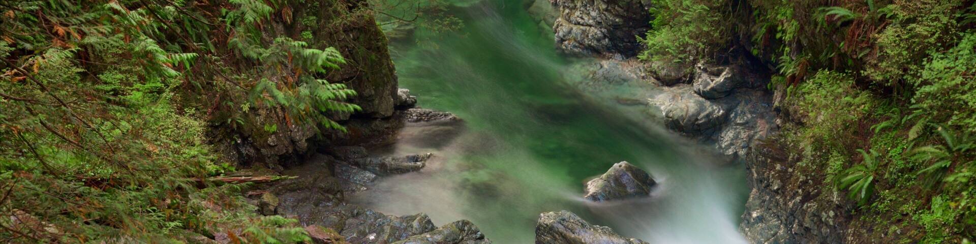 A river flowing through a rocky gorge with dense green foliage.