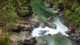 Lynn Canyon Park