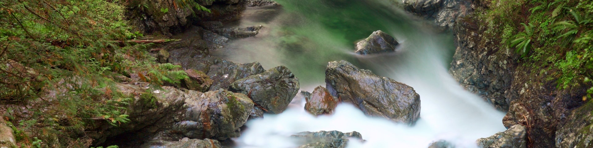 Rio serpenteando por um desfiladeiro rochoso, com vegetação verde exuberante.