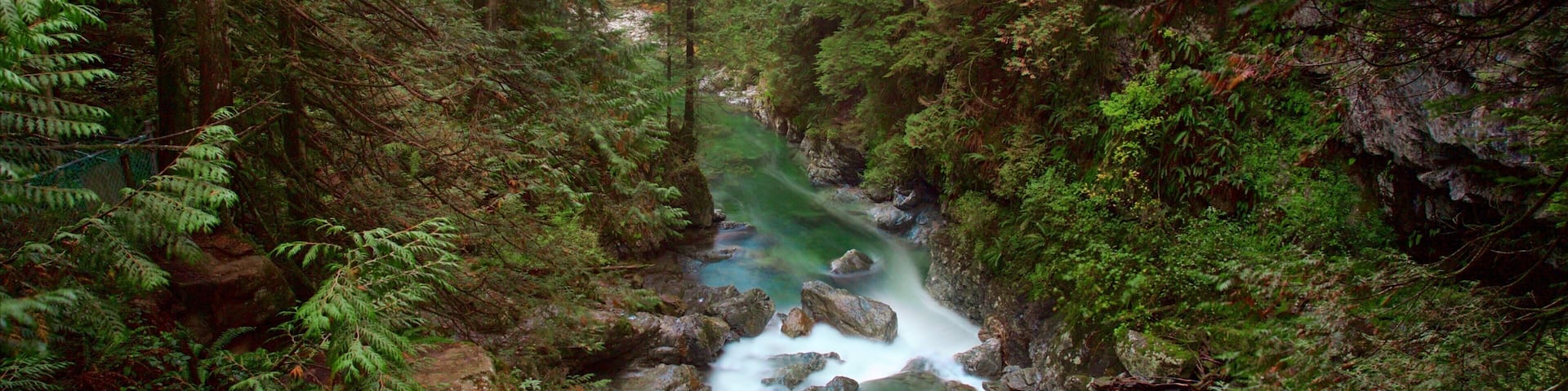Lynn Canyon Park