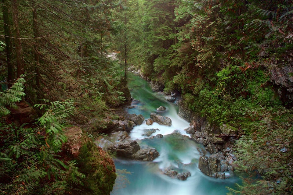 Un canyon boisé traversé par une rivière.