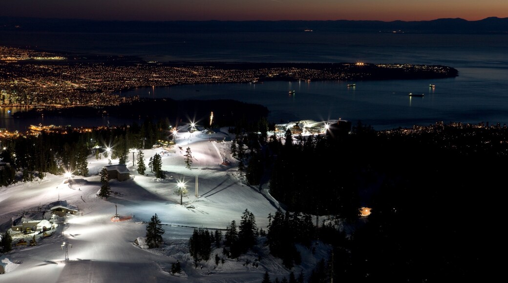 Montaña Grouse mostrando vistas de una costa, escenas nocturnas y nieve