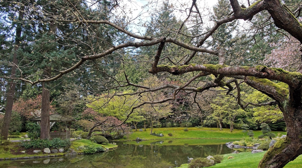 A treasure in University of British Columbia