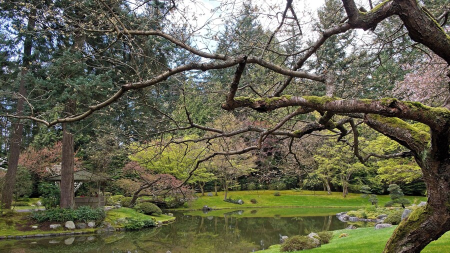 A treasure in University of British Columbia