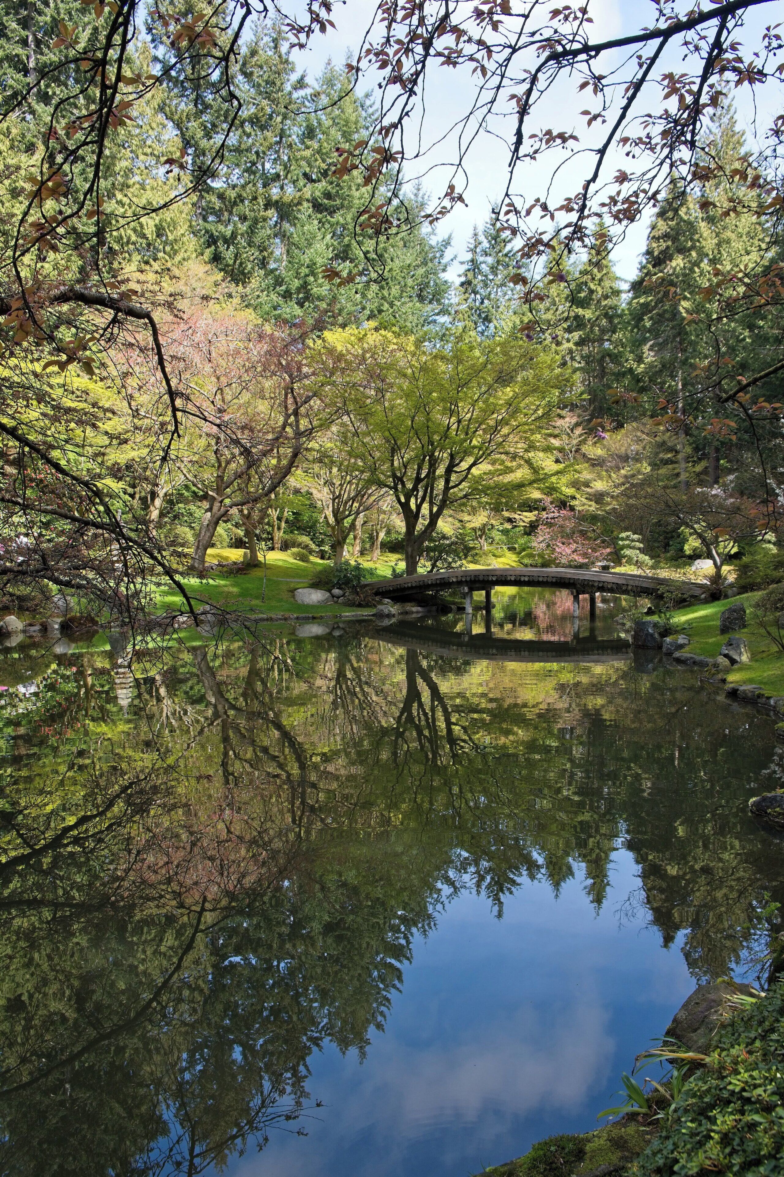 A treasure in University of British Columbia 