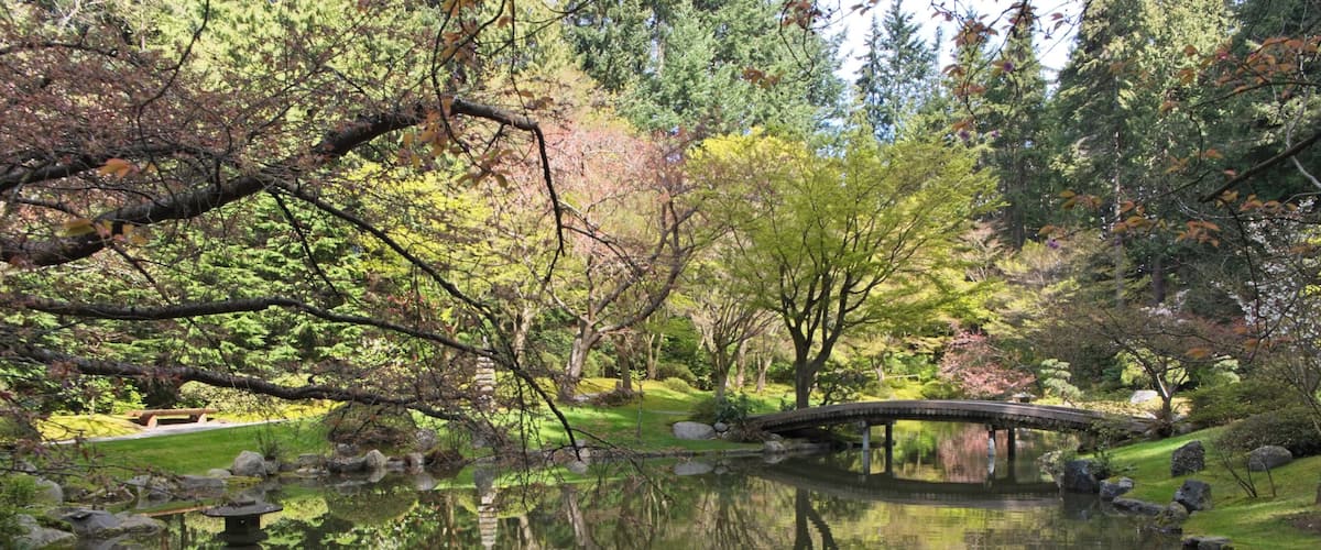 A treasure in University of British Columbia