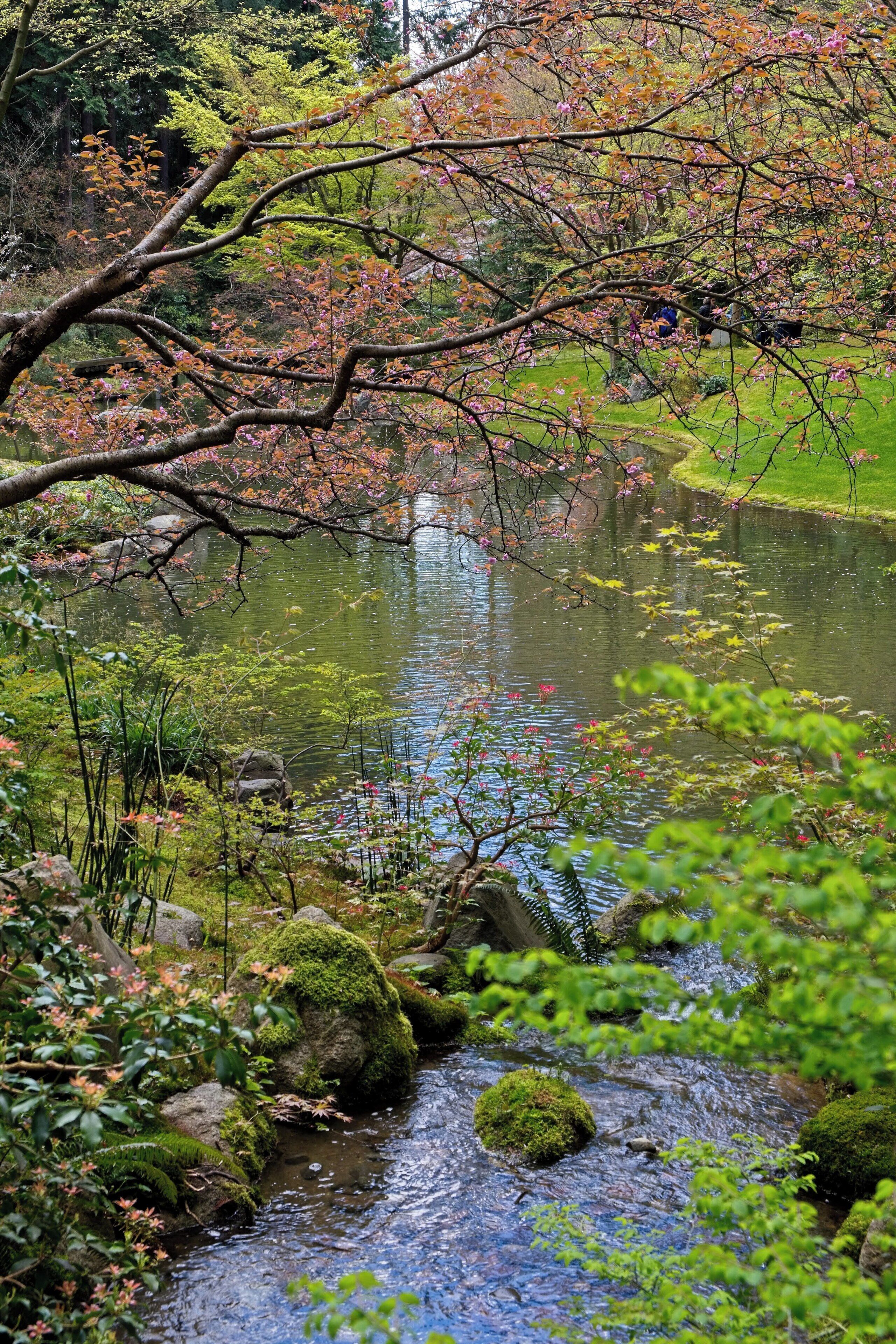 A treasure in University of British Columbia 