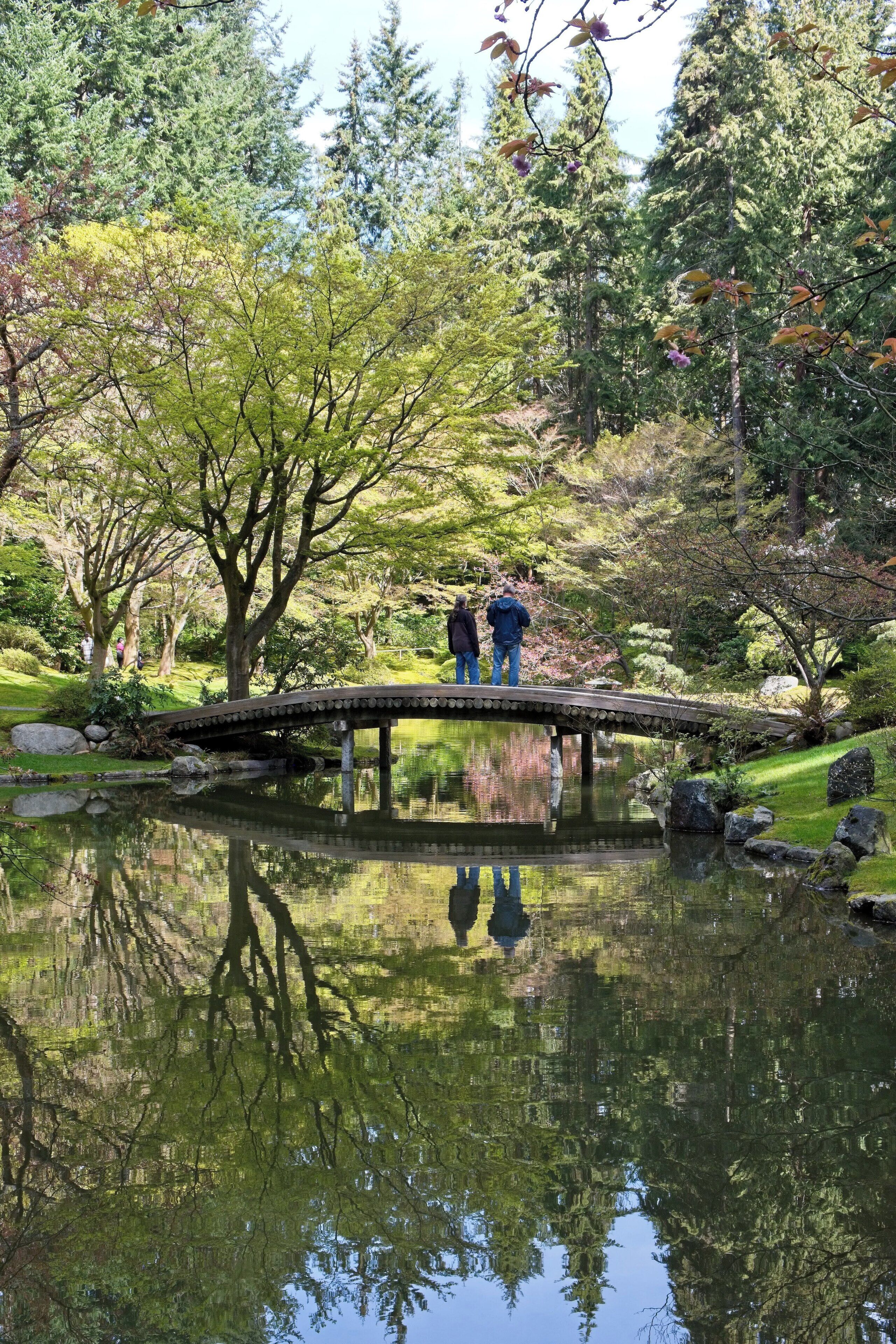 A treasure in University of British Columbia 