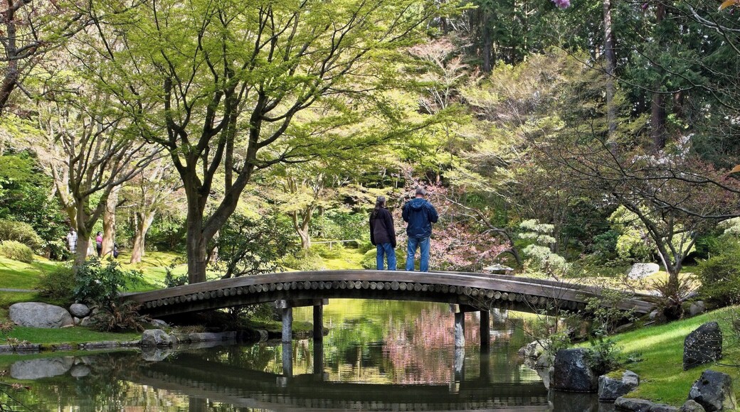 A treasure in University of British Columbia