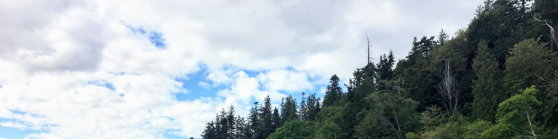 A view of the popular wreck beach, a famous nude beach along the beautiful forests of the West side of Vancouver, British Columbia, Canada.