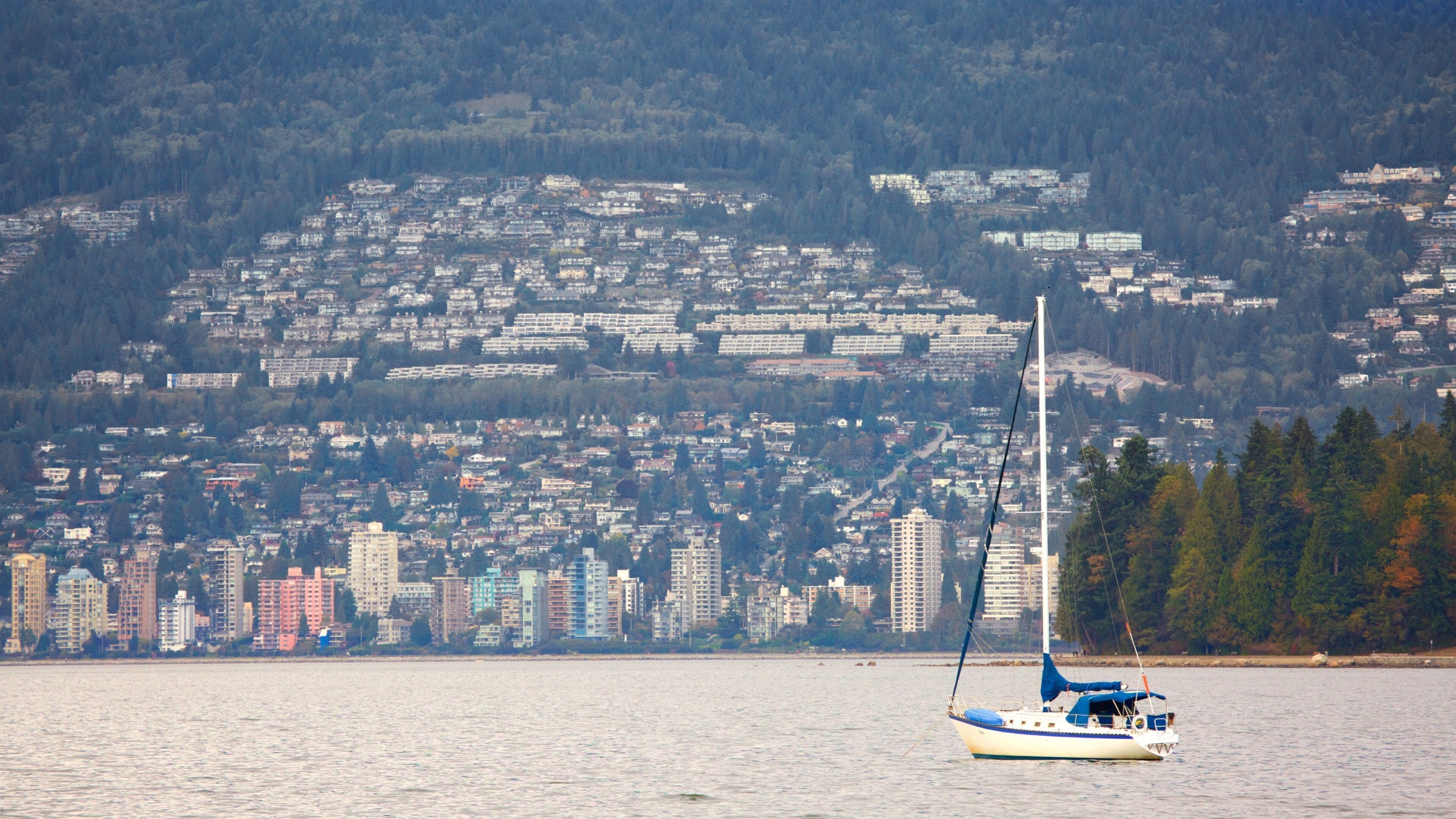 Kitsilano Beach which includes a bay or harbor, a city and sailing