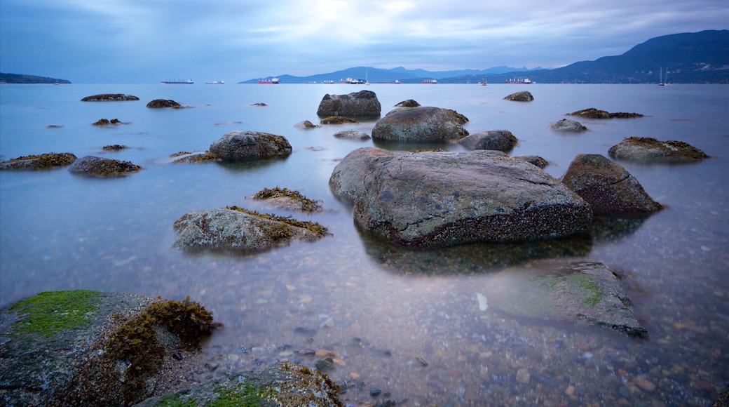 Kitsilano Beach som inkluderer kyst og bukt eller havn