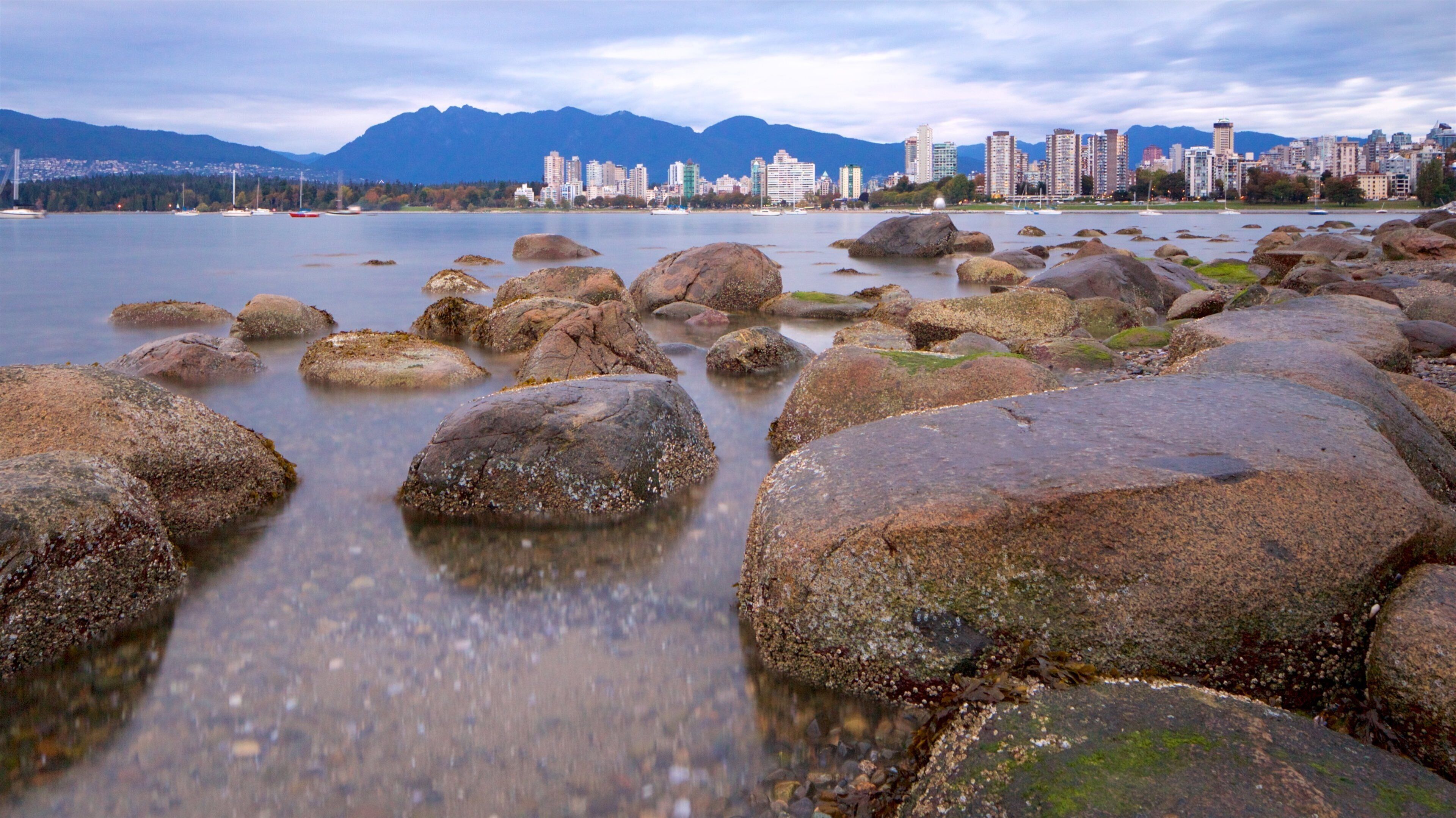 Strand Kitsilano bevat een baai of haven, een stad en algemene kustgezichten