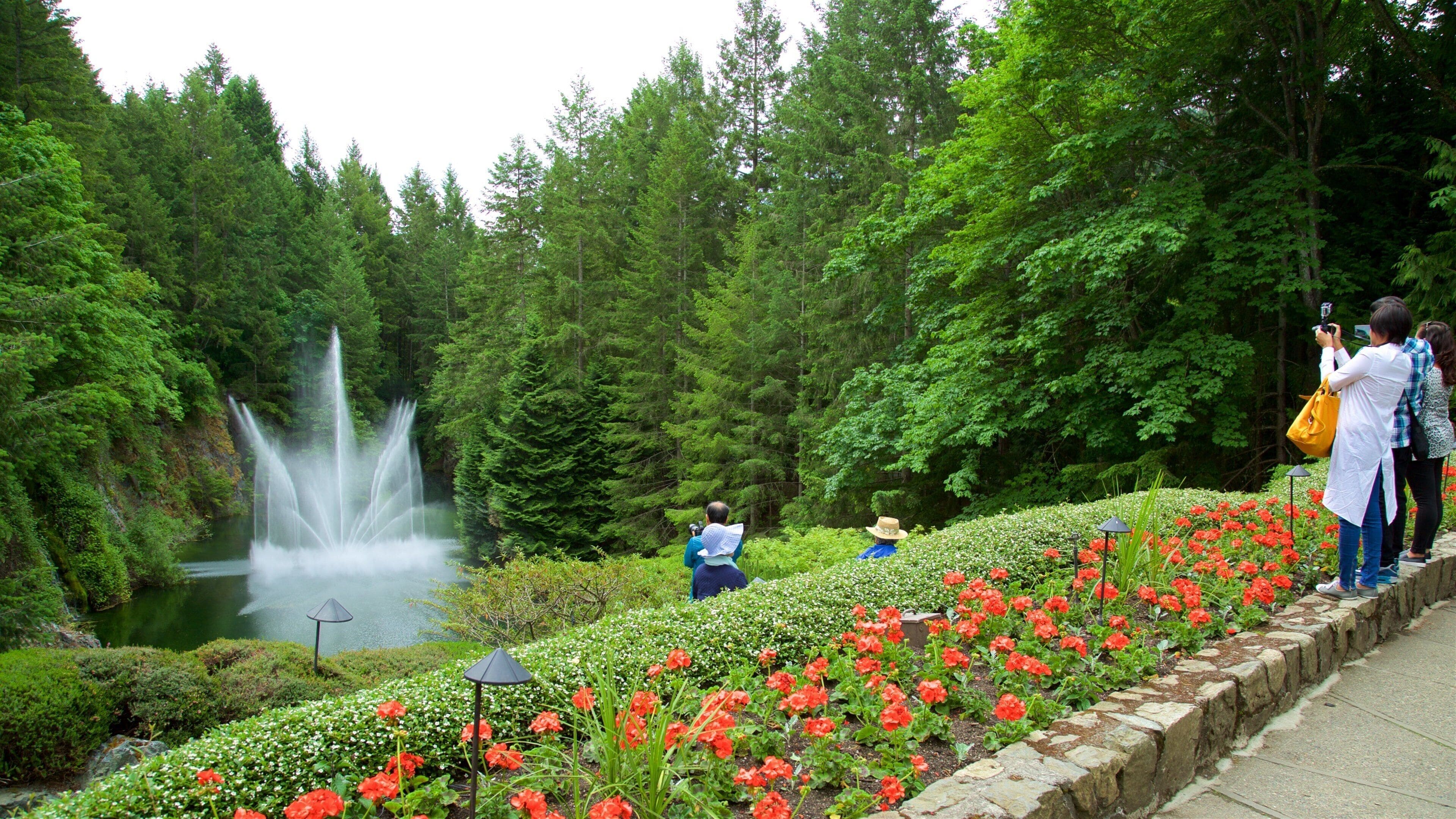 Butchart Gardens showing a pond, a fountain and flowers