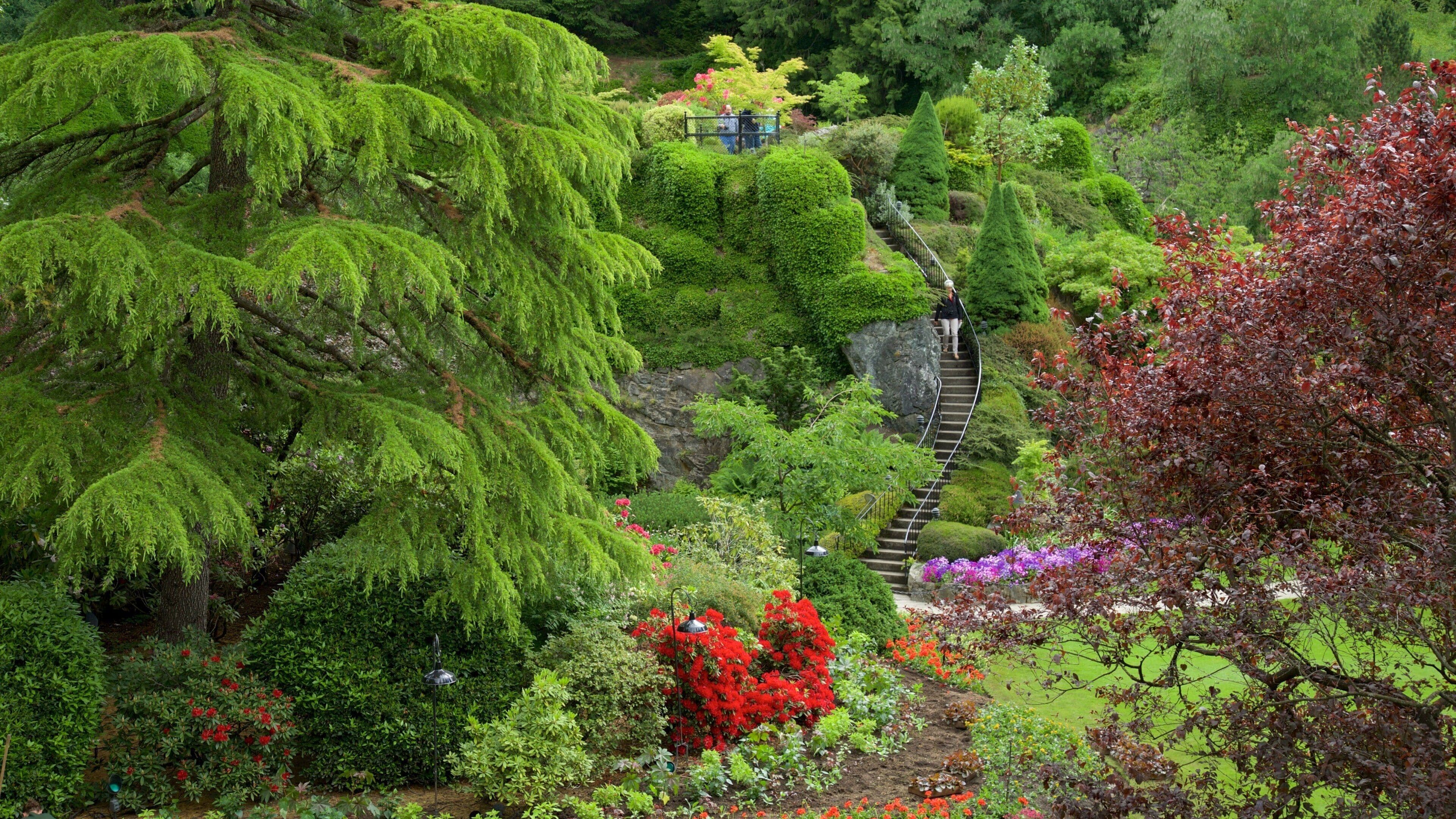 A lush garden with a winding stone path, dense green foliage, and vibrant red flowers.
