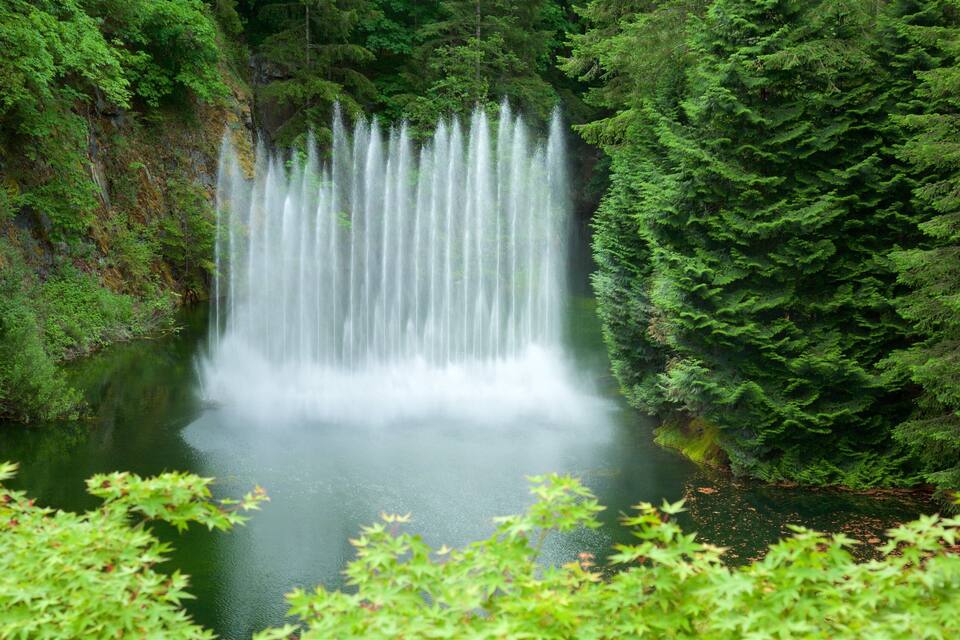 A waterfall cascading into a forested valley.