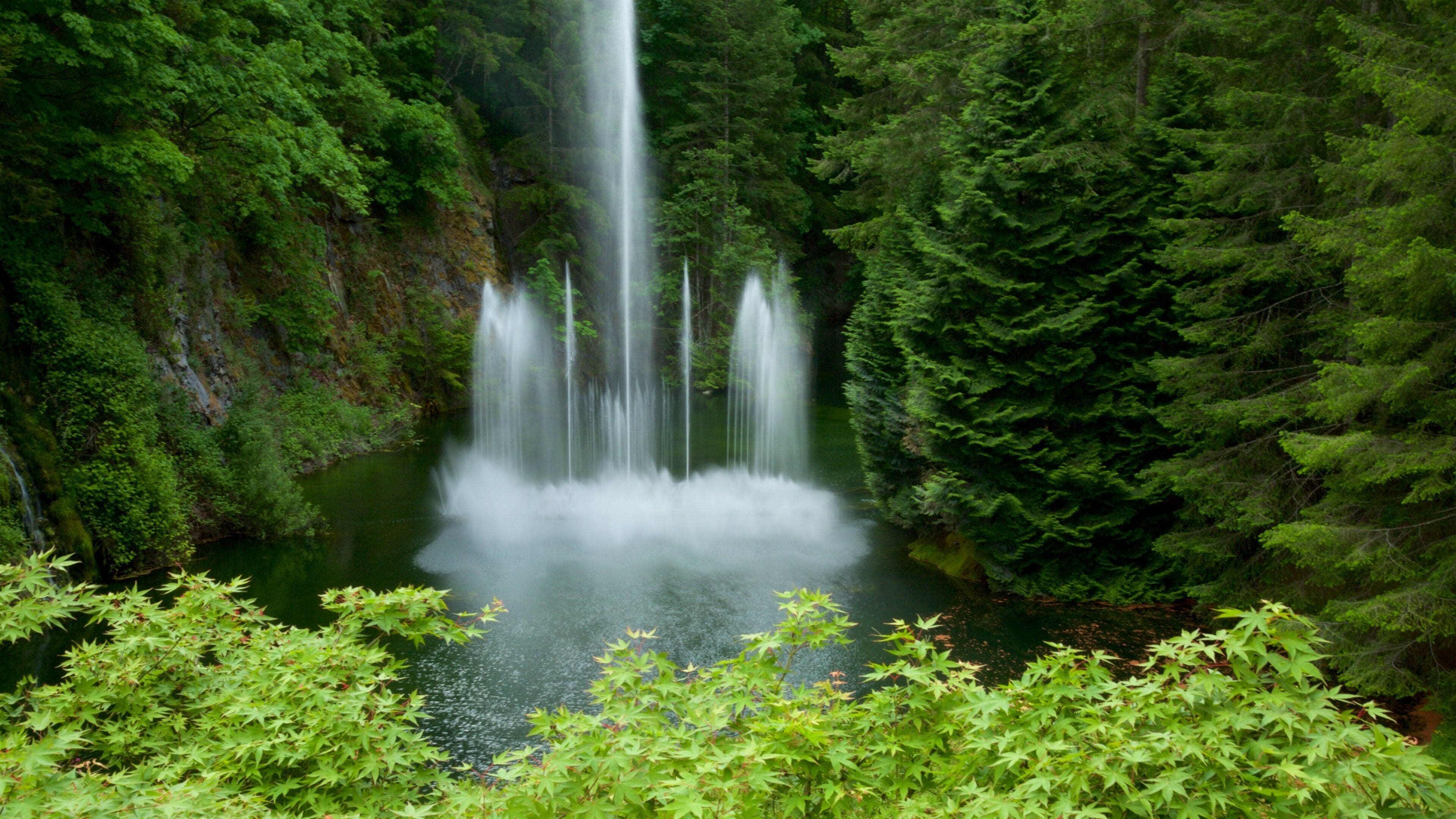 A waterfall cascading into a forested valley.