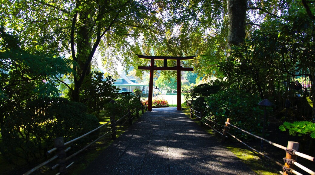 Butchart Gardens which includes a garden