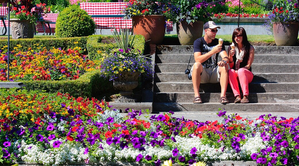 Butchart Gardens caracterizando um jardim assim como um casal