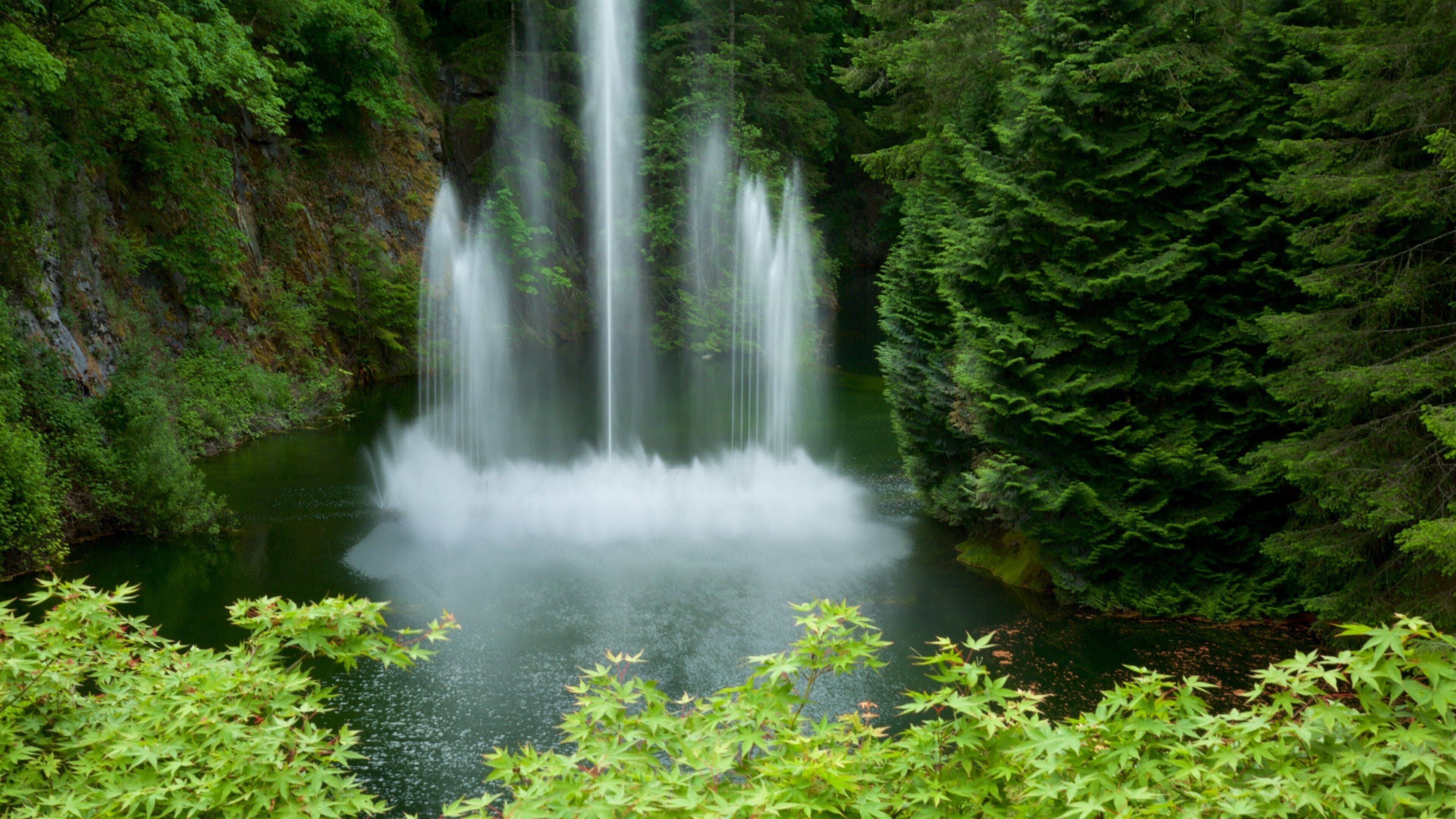 Butchart Gardens showing a fountain and a pond