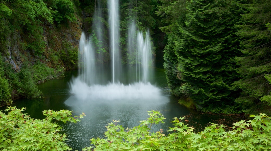 Butchart Gardens showing a fountain and a pond