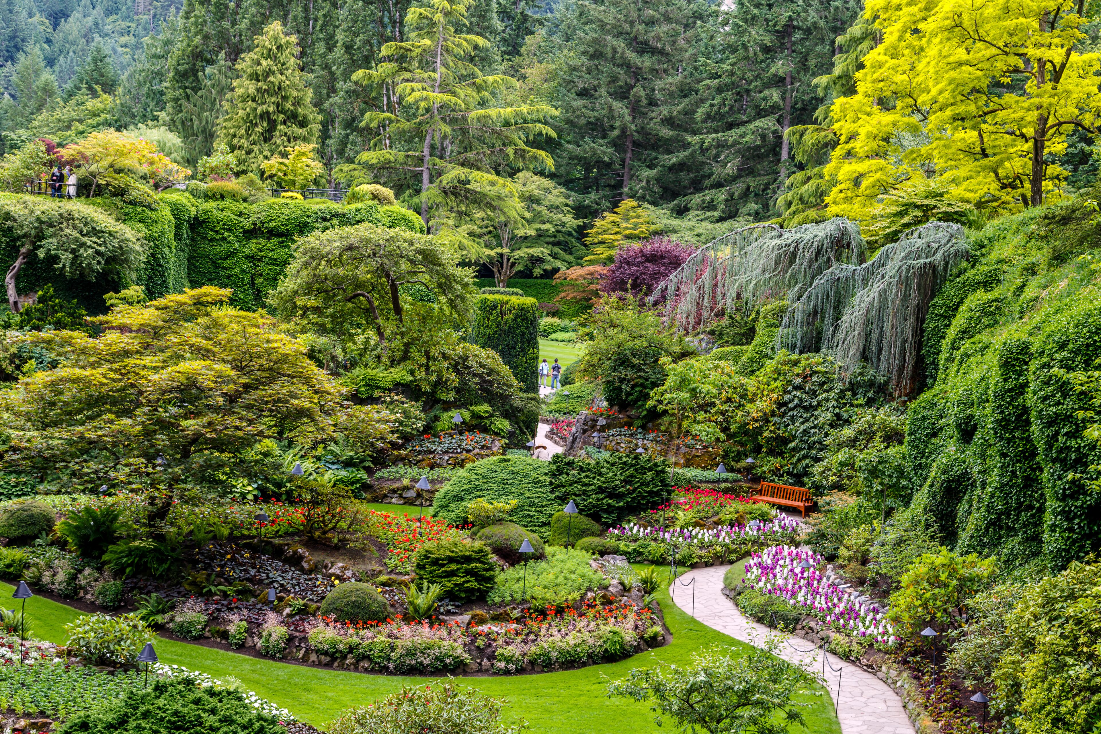 Central Saanich
