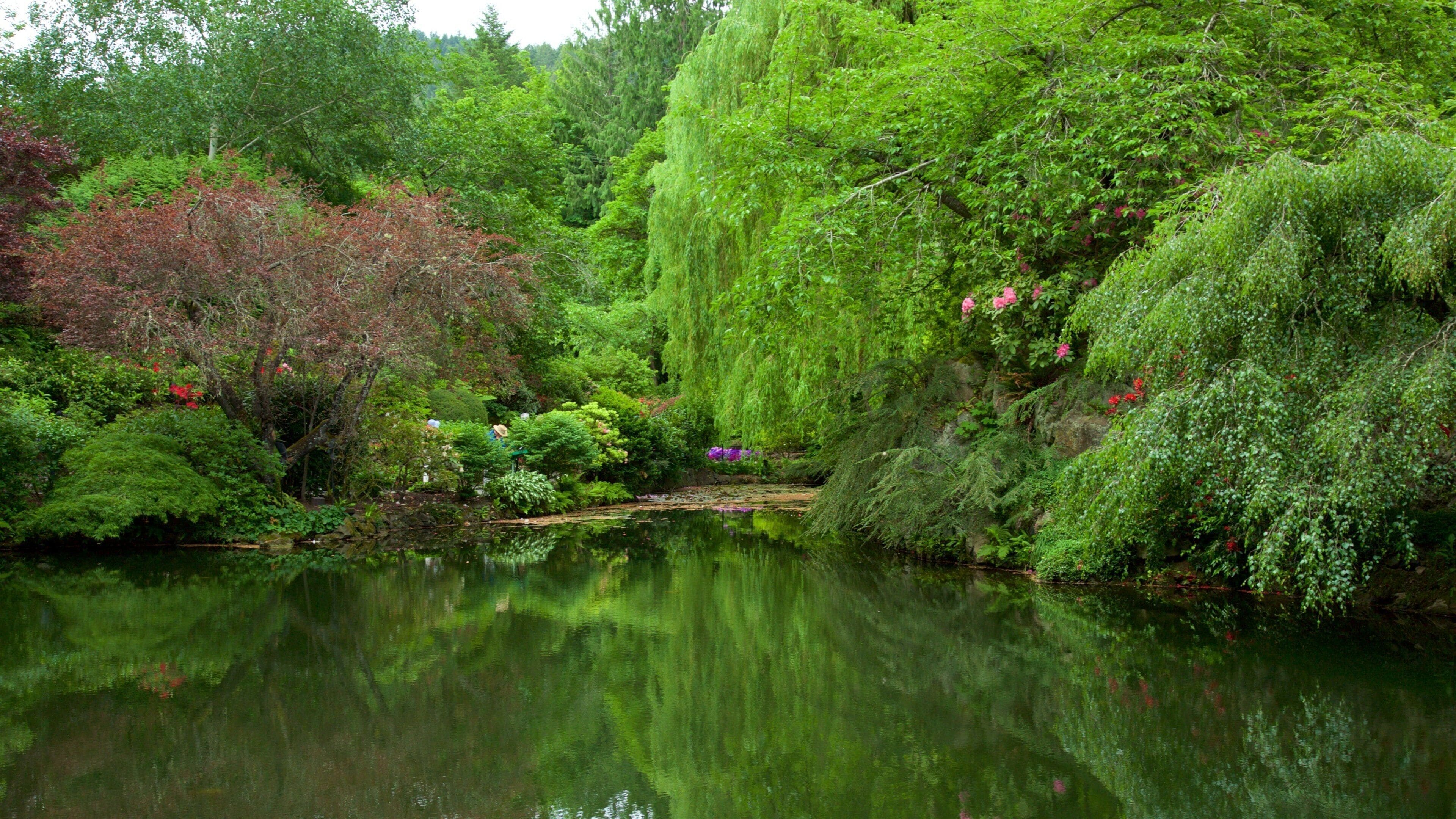 Butchart Gardens showing a park and a pond