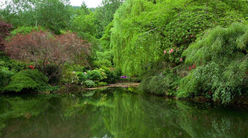 Butchart Gardens showing a park and a pond