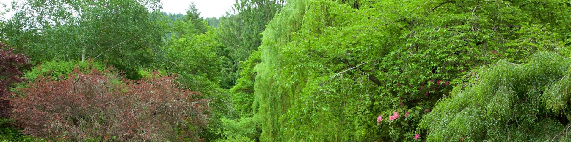 A tranquil pond surrounded by lush greenery and trees.