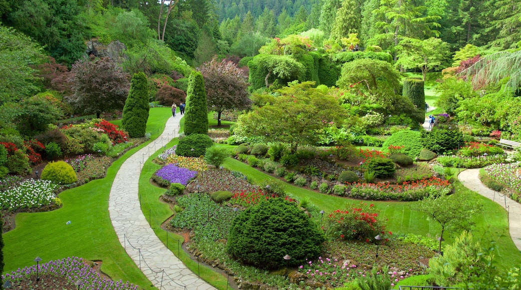 Butchart Gardens che include parco e fiori