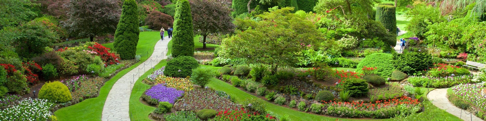 Jardines Butchart ofreciendo un jardín y flores