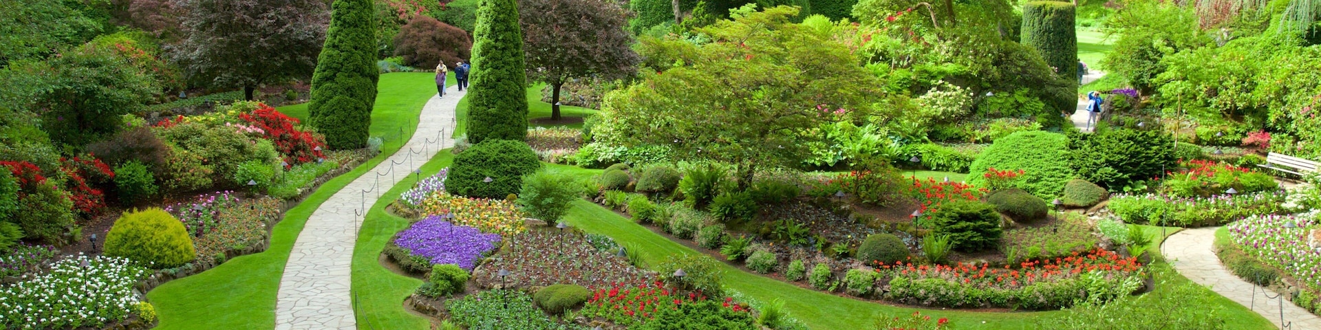 Butchart Gardens que inclui flores e um parque