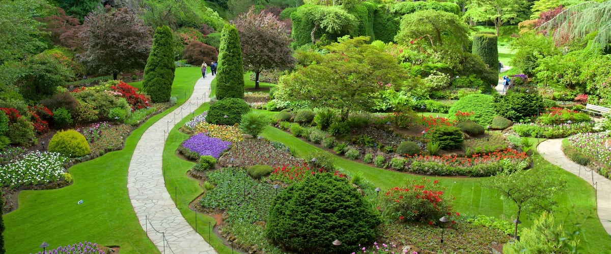 A lush garden with winding paths, diverse plant species, and neatly trimmed hedges.