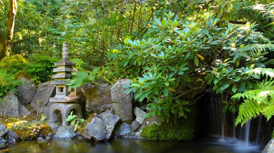 Butchart Gardens que inclui um lago e um parque