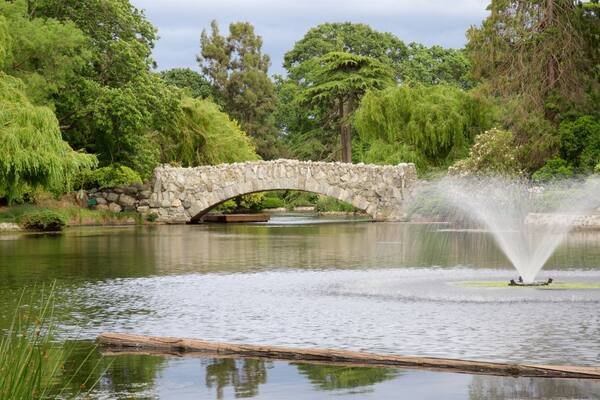 Beacon Hill Park welches beinhaltet Garten, Brücke und See oder Wasserstelle