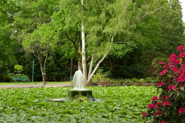 Beacon Hill Park featuring a fountain, a pond and a garden