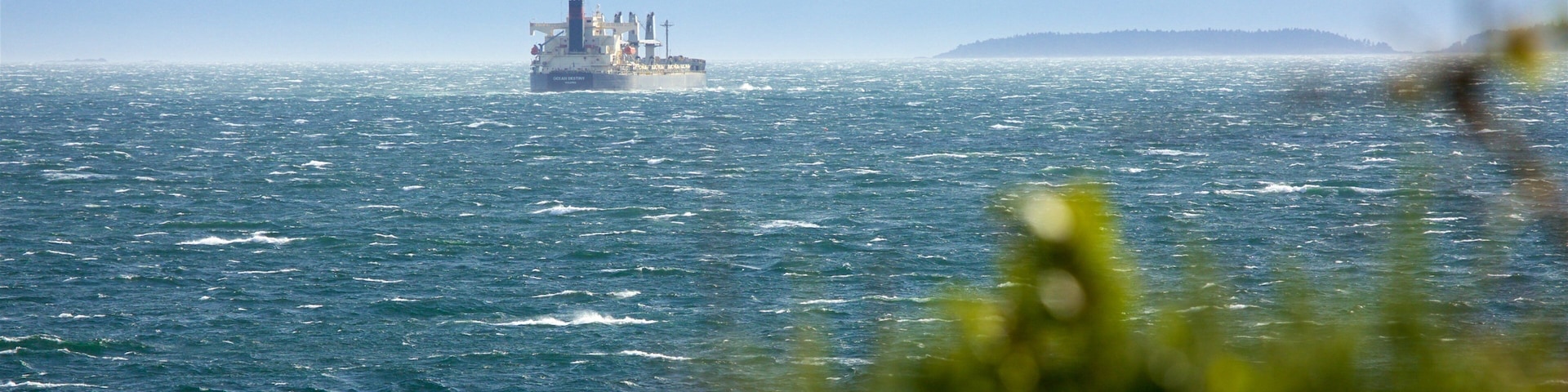 Beacon Hill Park which includes boating and general coastal views