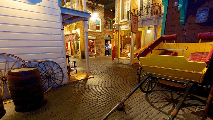 Museo Royal BC mostrando vistas interiores