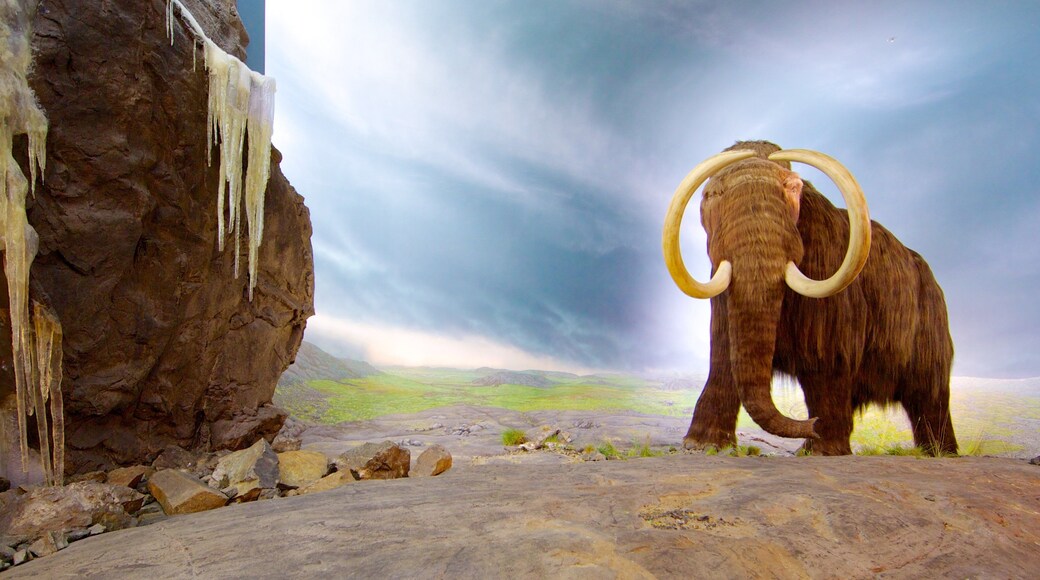 Royal BC Museum which includes interior views