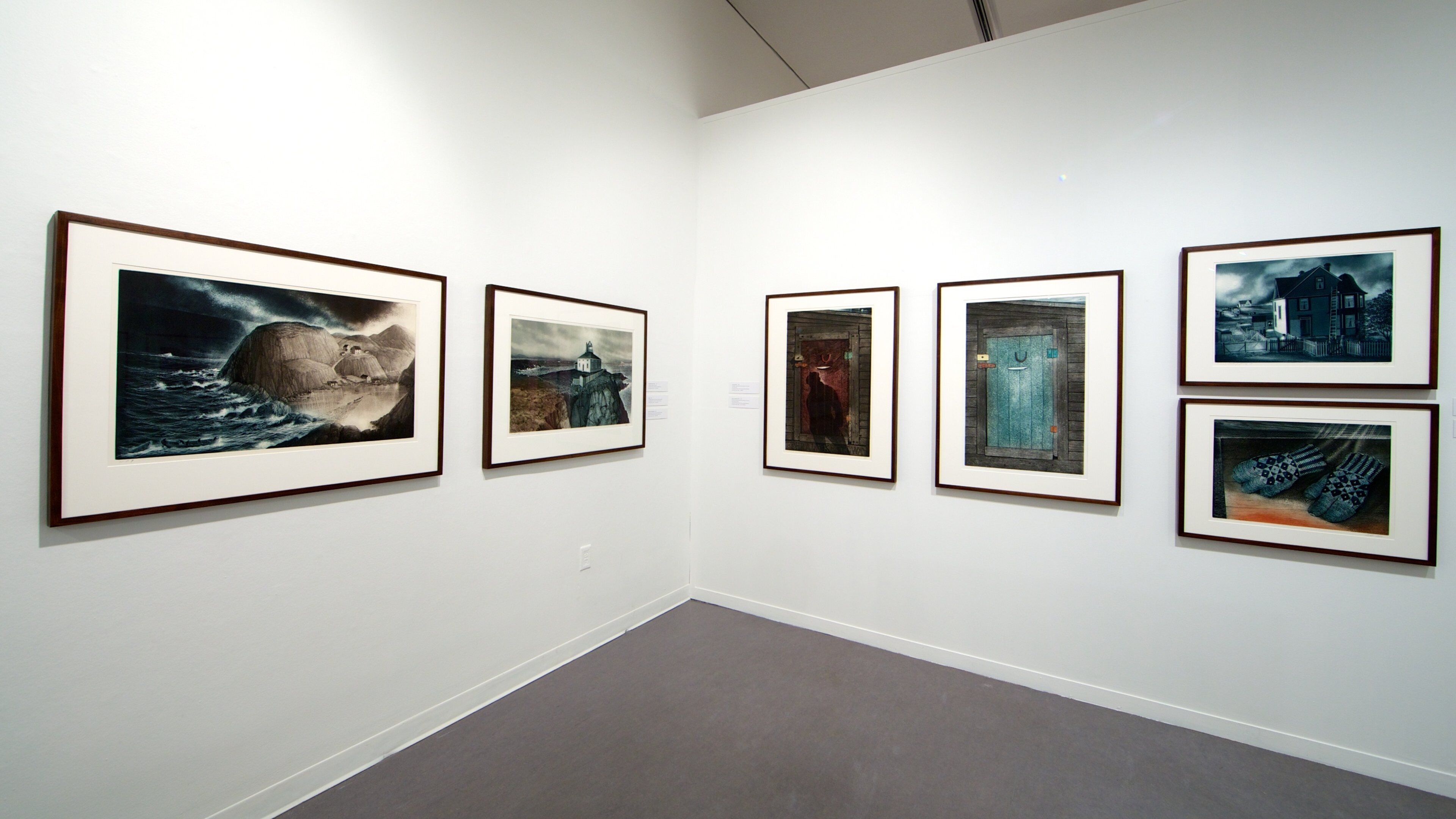 Art Gallery of Greater Victoria che include vista interna e arte