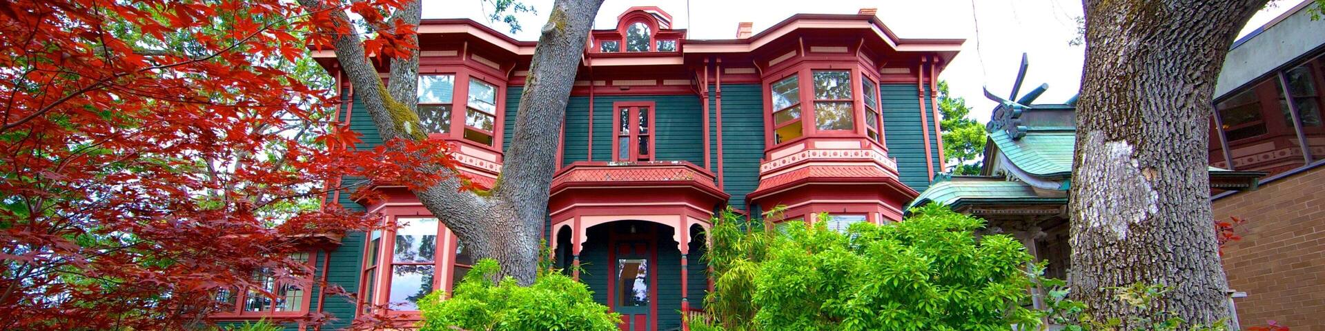 Art Gallery of Greater Victoria showing a garden