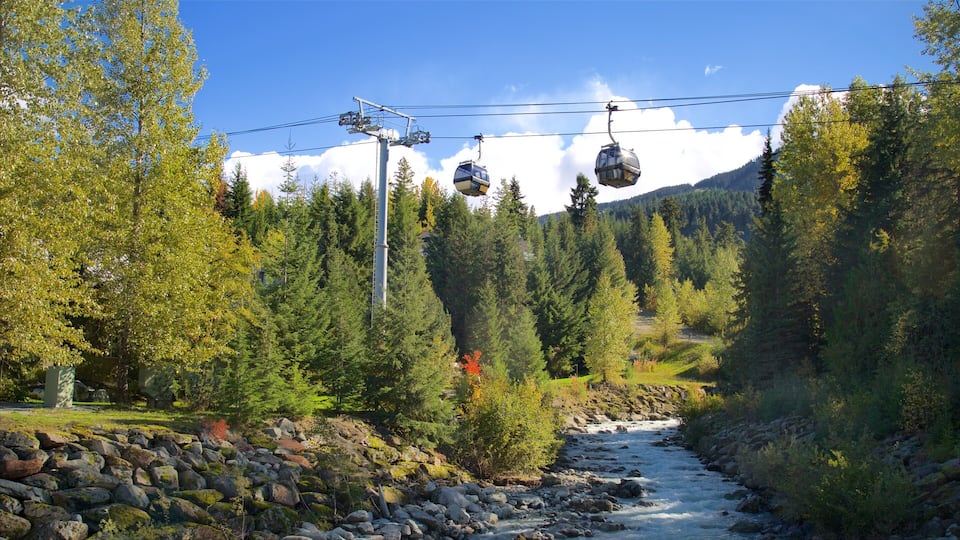 Whistler Blackcomb Ski Resort featuring a river or creek, mountains and forests