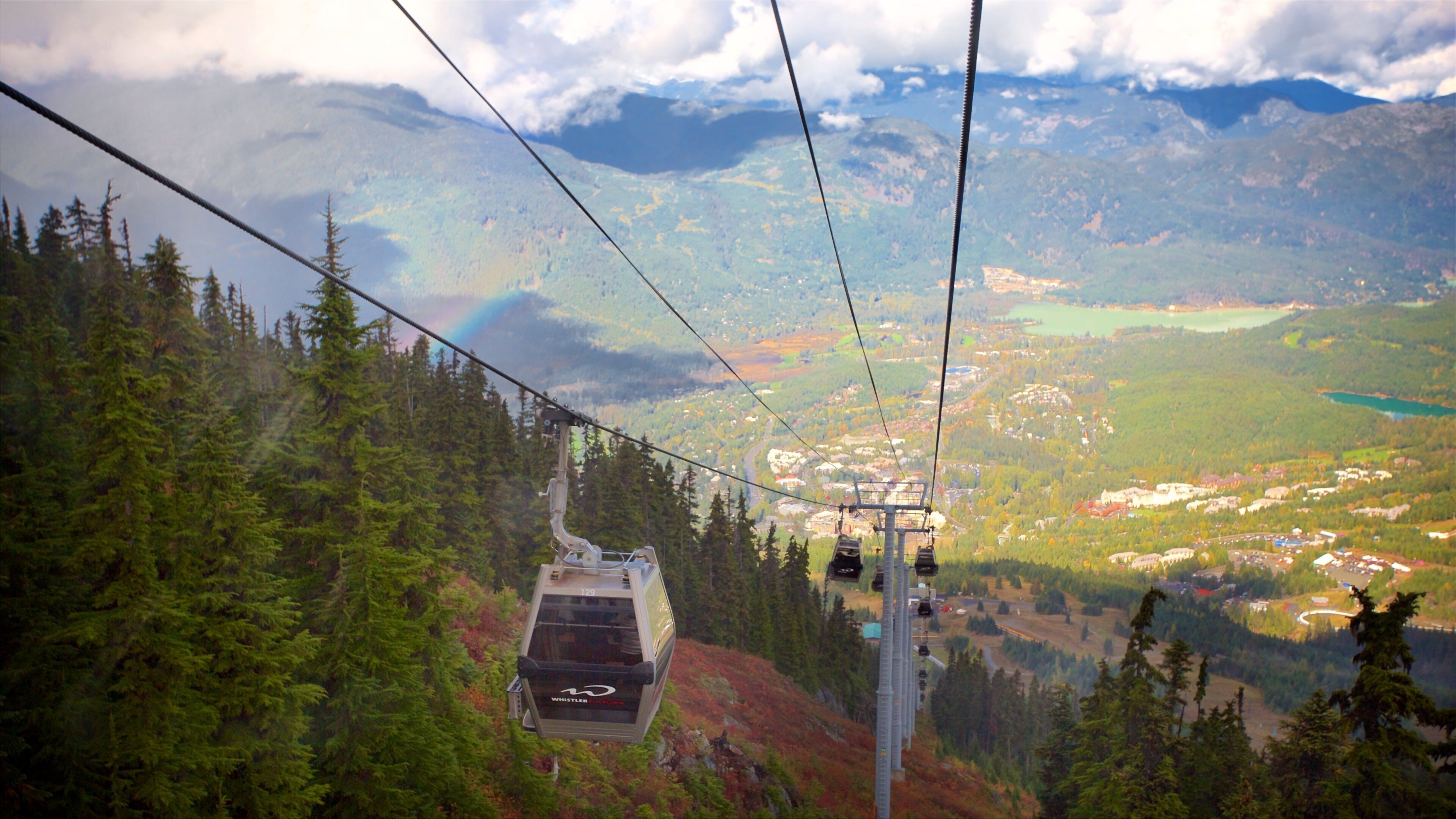 Whistler Blackcomb Ski Resort caracterizando cenas de floresta, montanhas e uma gôndola