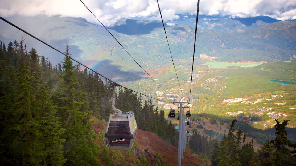A cable car moving through a forested mountain area with a view of a valley below.