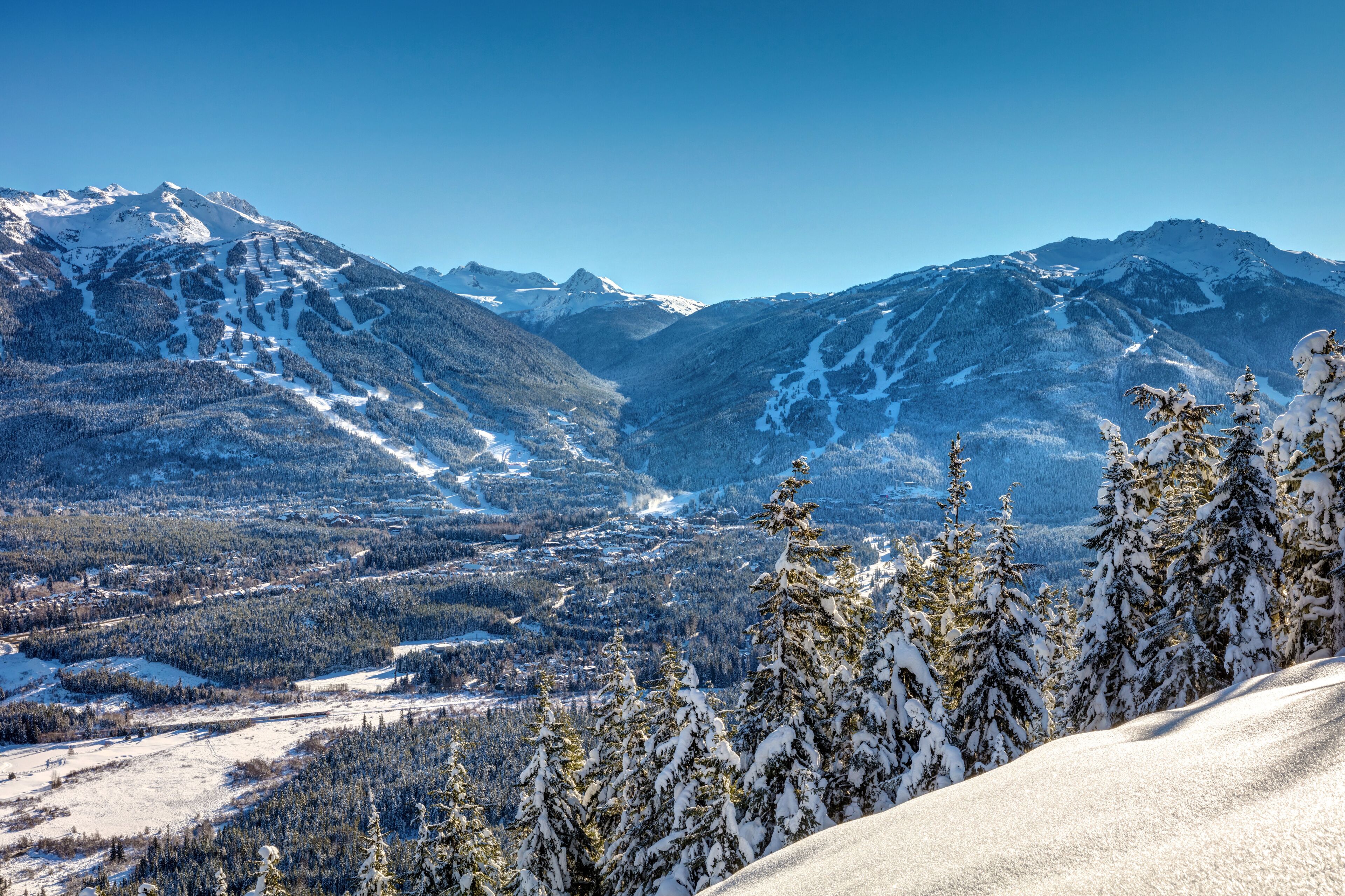 Whistler Blackcomb Mountains in Winter after a fresh snowfall on a sunny blue sky day. British Columbia, Canada