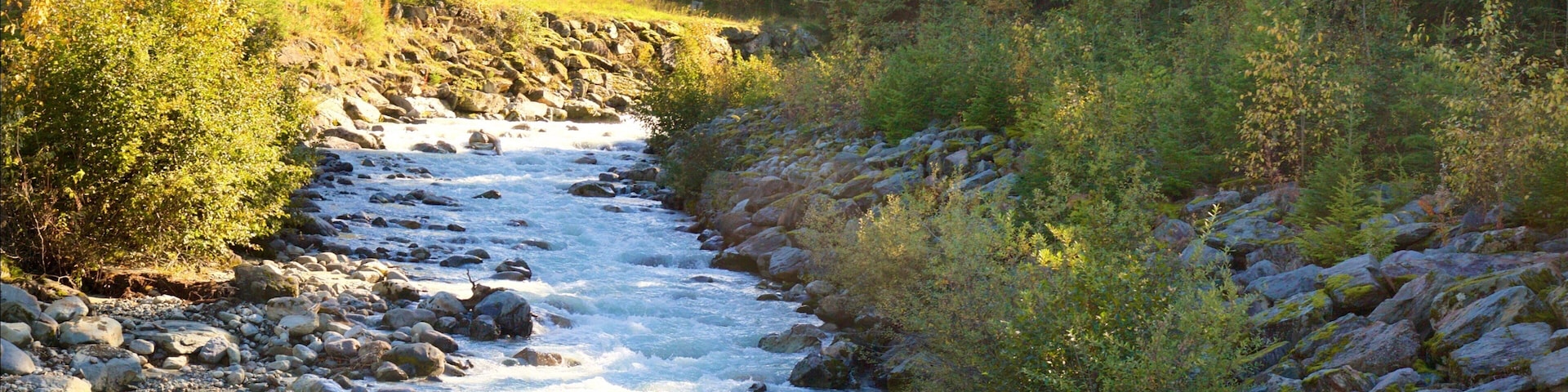 Whistler Blackcomb Ski Resort mostrando florestas e um rio ou córrego