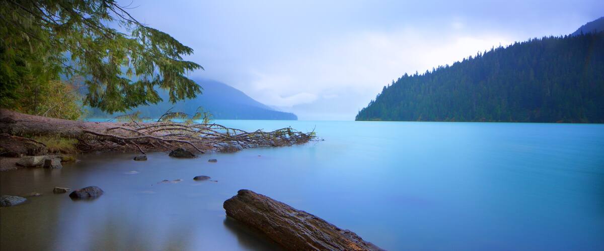 Garibaldi Provincial Park showing a lake or waterhole, mist or fog and forest scenes