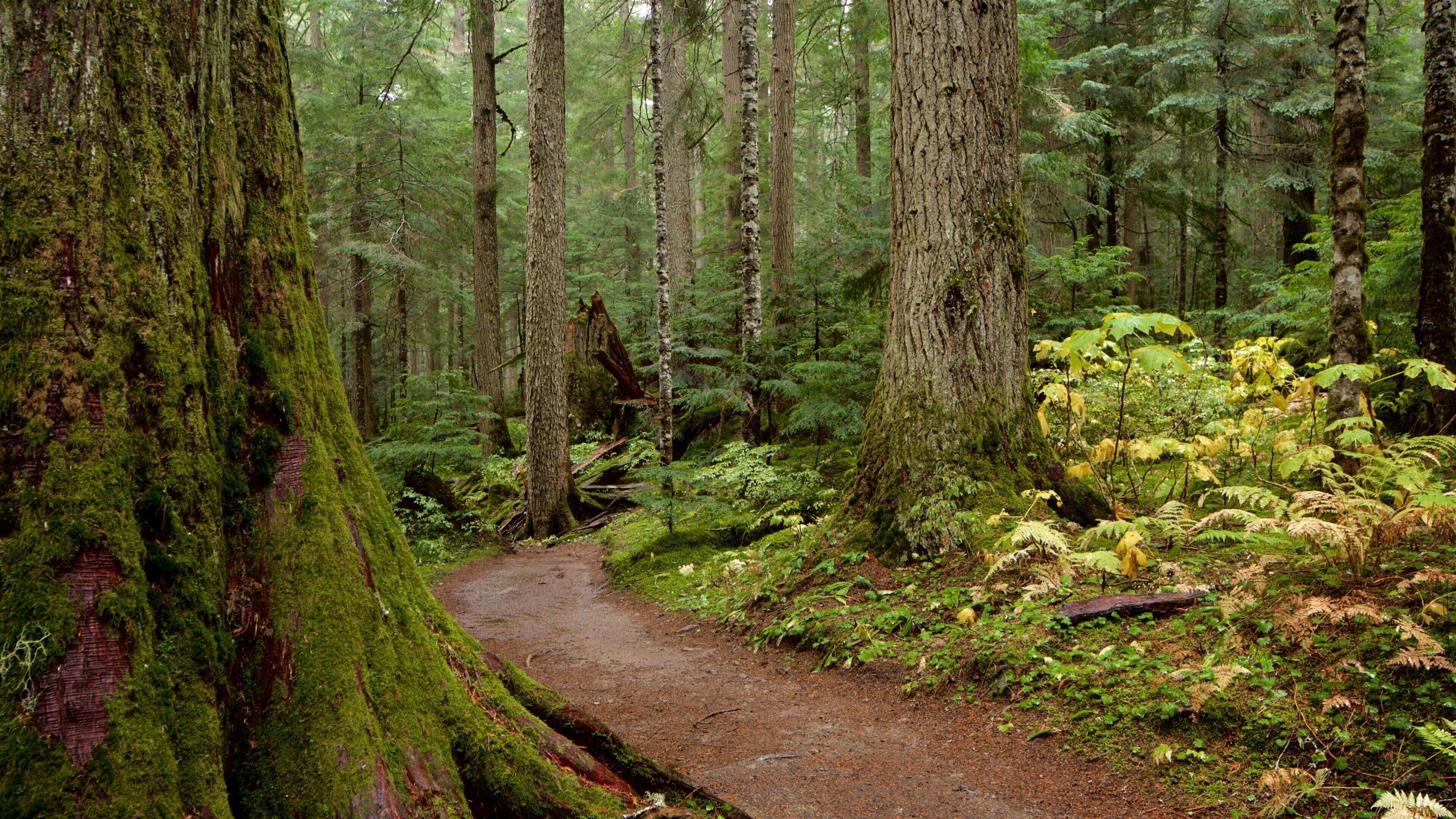 Garibaldi Provincial Park