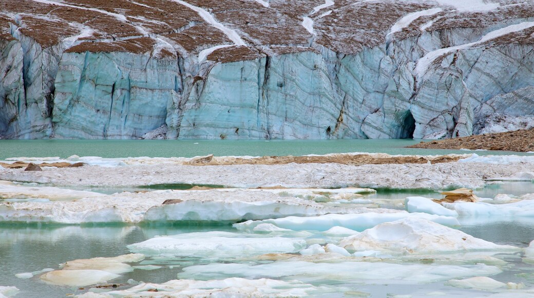 Mount Edith Cavell featuring snow, landscape views and a river or creek
