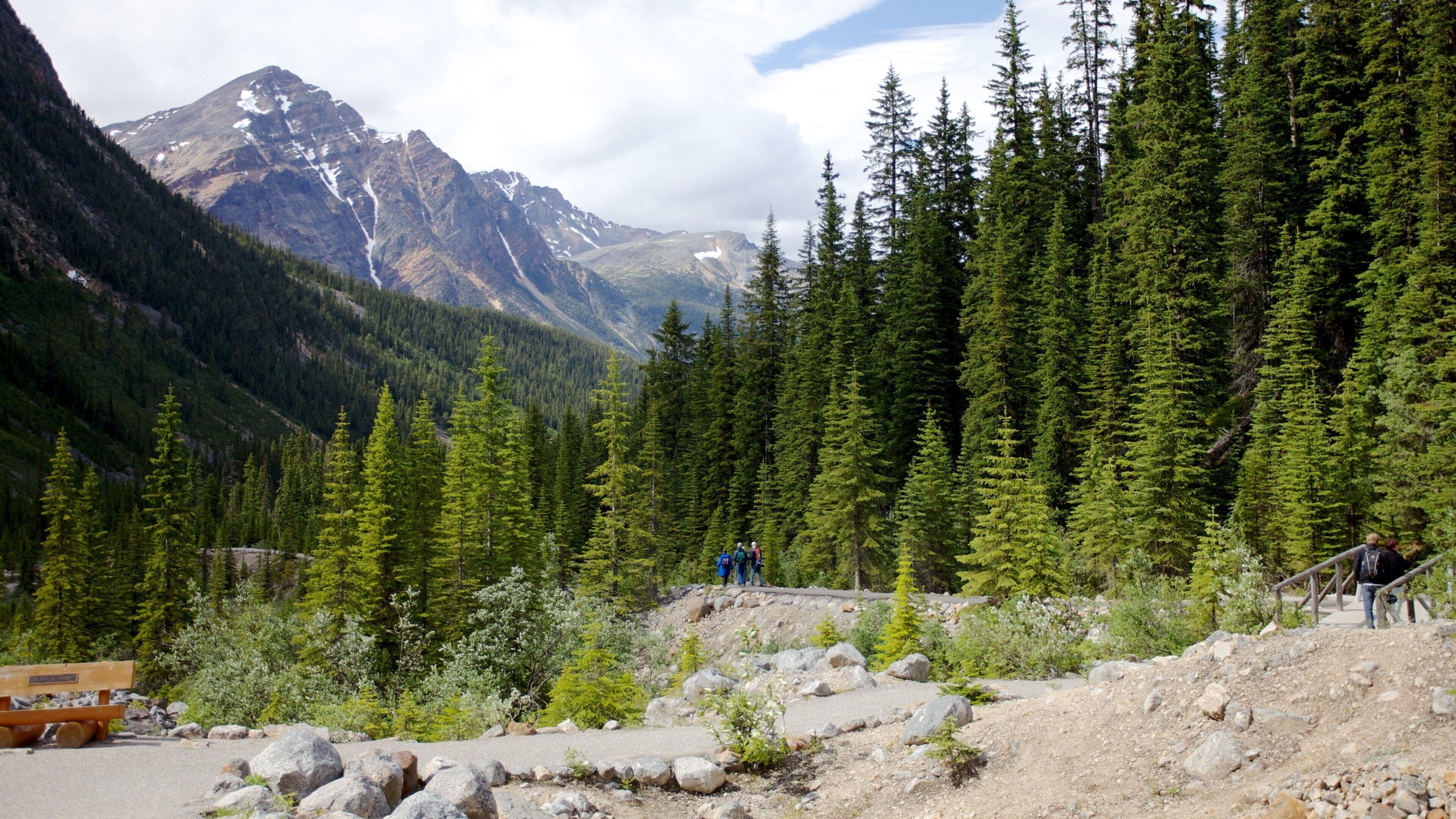 Mount Edith Cavell which includes landscape views and mountains
